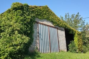 , Cénac et Saint Julien 24250 France