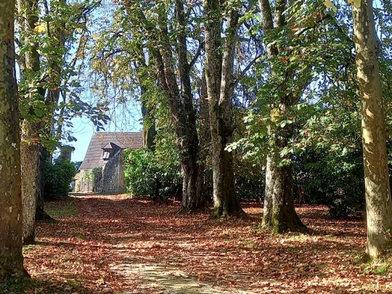 Salignac - Périgord Noir,