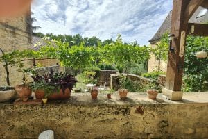 Sarlat - Vallée de la Dordogne,