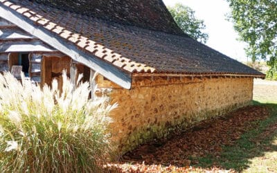 Vallée de la Vézère,