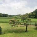 Nord de Sarlat,