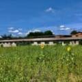 Nord de Sarlat,