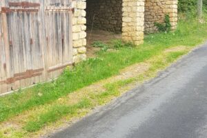 Proche Sarlat,