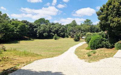 Périgord - Lot, 20mn de Sarlat  France