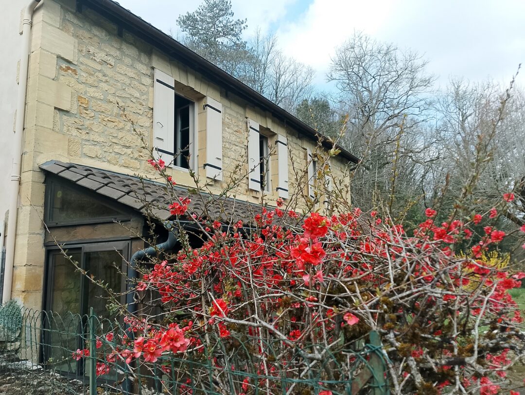 Nord de Sarlat, Périgord Noir