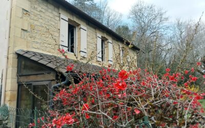 Nord de Sarlat, Périgord Noir