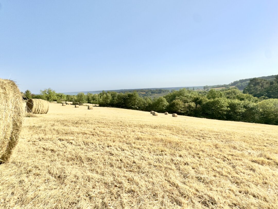 Vallée de la Dordogne, Périgord Noir 24200
