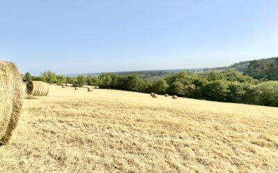 Vallée de la Dordogne, Périgord Noir 24200