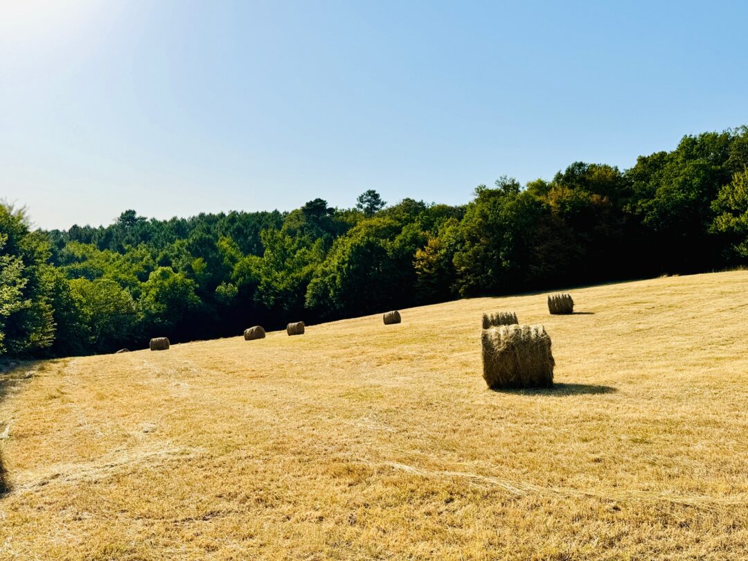 Vallée de la Dordogne, Périgord Noir 24200