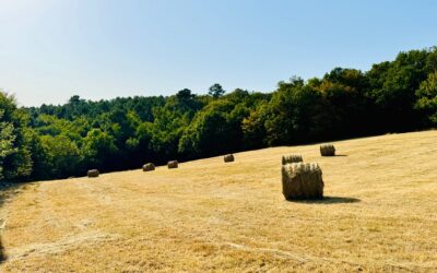 Vallée de la Dordogne, Périgord Noir 24200