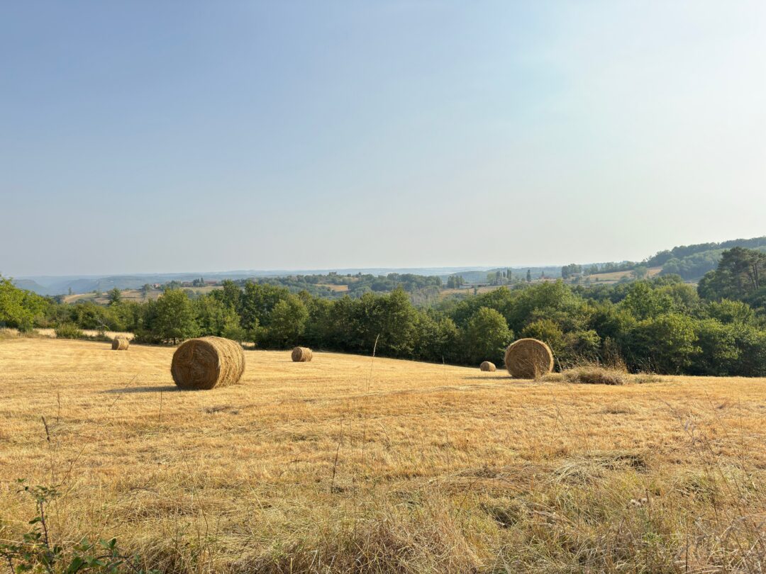 Vallée de la Dordogne, Périgord Noir 24200