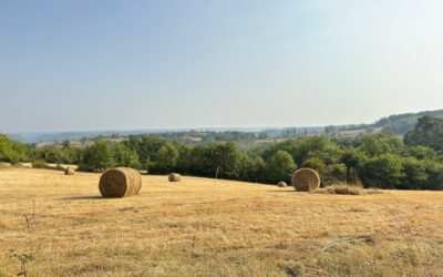 Vallée de la Dordogne, Périgord Noir 24200