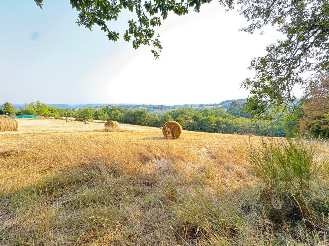 Vallée de la Dordogne, Périgord Noir 24200