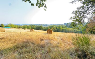 Vallée de la Dordogne, Périgord Noir 24200