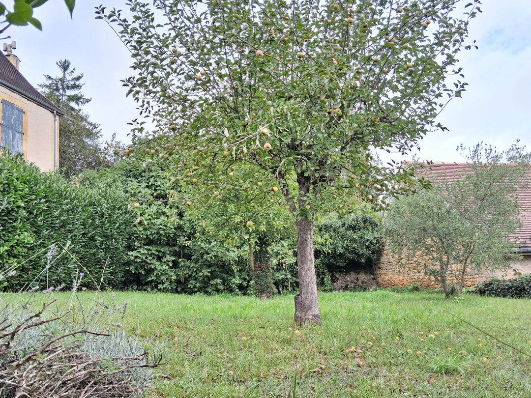 Périgord Noir, Dordogne