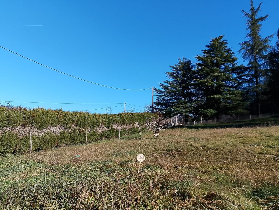 St Julien de Lampon, Périgord Noir