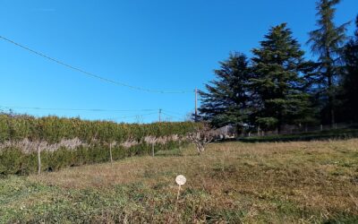St Julien de Lampon, Périgord Noir