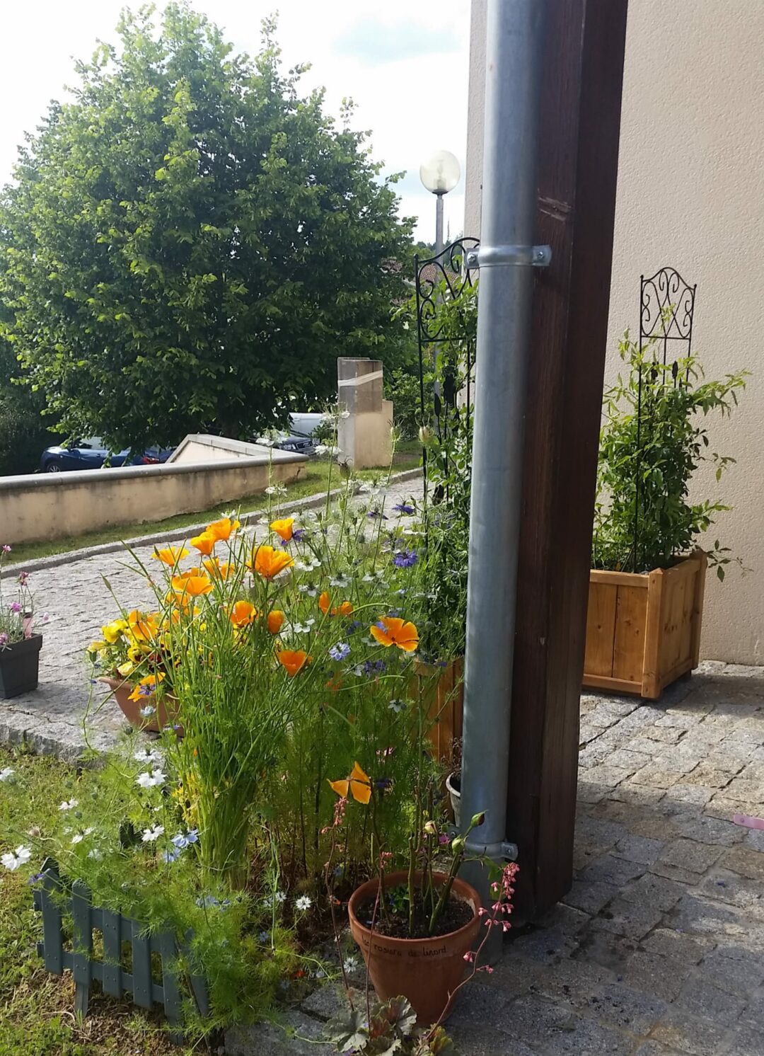Sarlat, Périgord Noir 24200