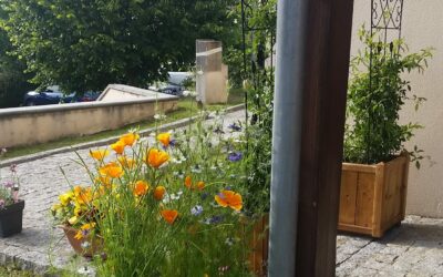 Sarlat, Périgord Noir 24200