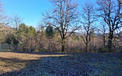 St André d'Allas, Périgord Noir 24200