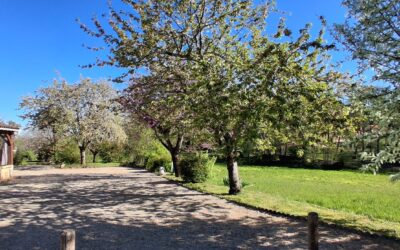 Sarlat, Périgord Noir 24200