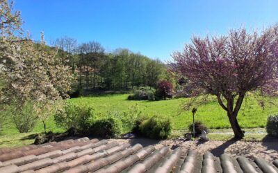 Sarlat, Périgord Noir 24200
