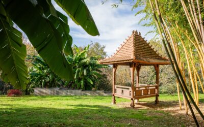 Sarlat, Périgord Noir 24200