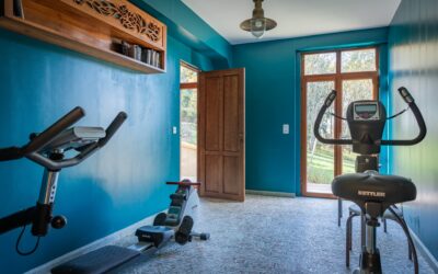 Sarlat, Périgord Noir 24200