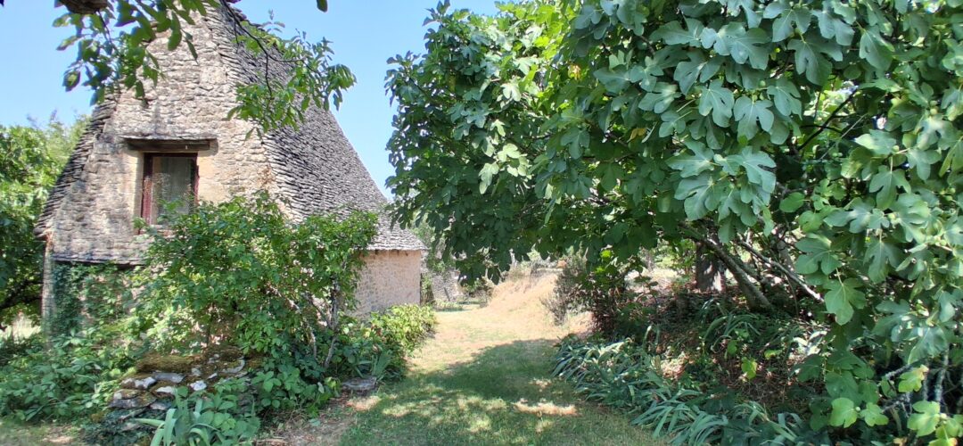 Périgord Noir, La Chapelle Aubareil 24590 France
