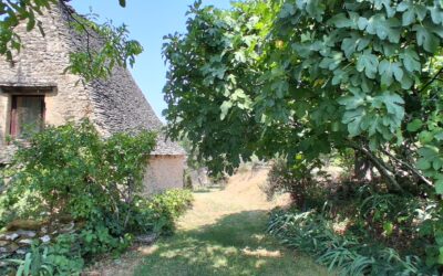 Périgord Noir, La Chapelle Aubareil 24590 France